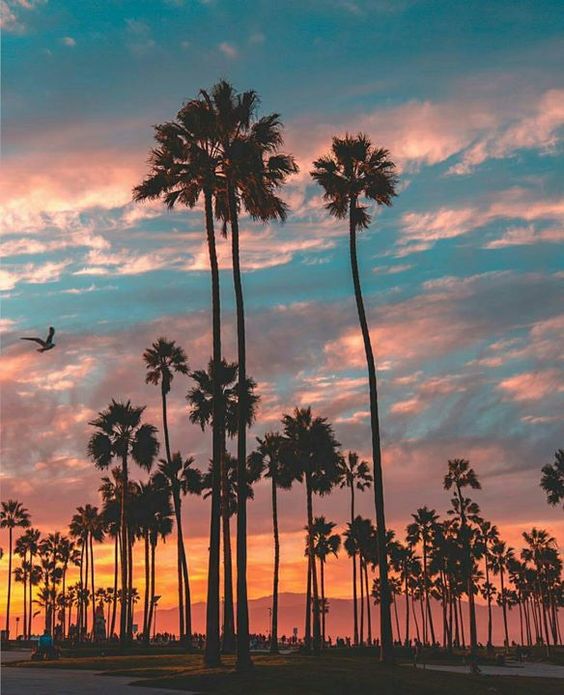 6 California Beach Towns to Visit This Fall